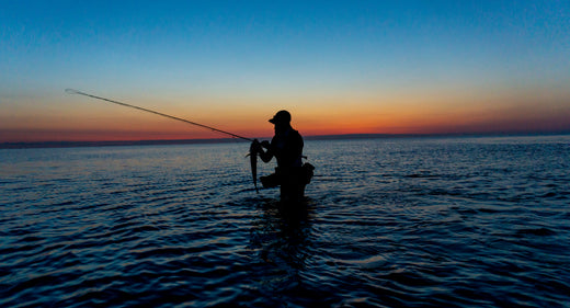 Lamiglas Fishing Rod Blog