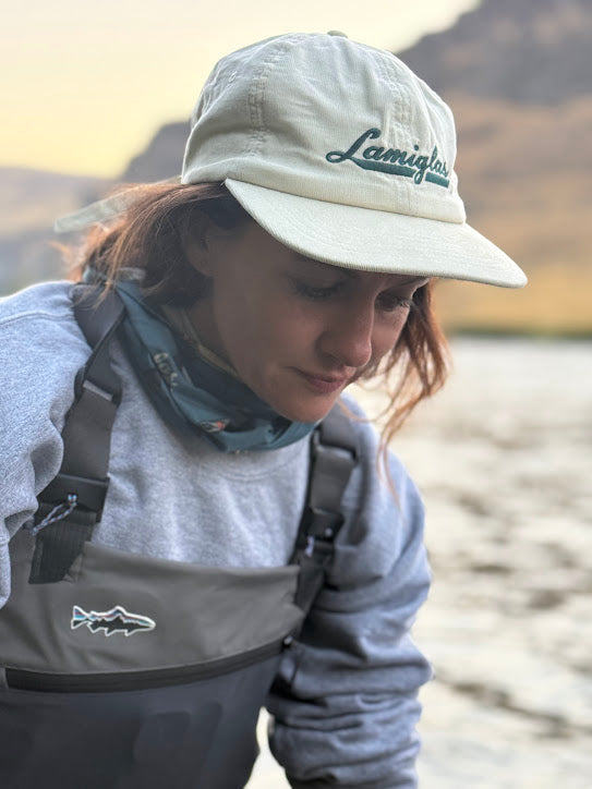 Collections – Lamiglas