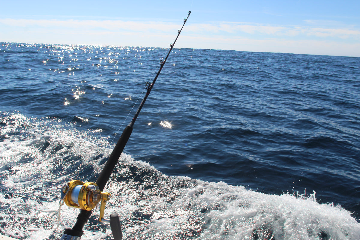 Swamp Fishing Rods Lamiglas | Fishing Rods & Rod Blanks