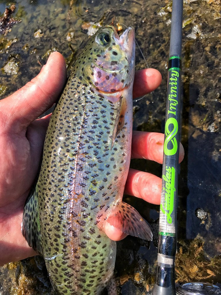 Infinity Ultralight Lamiglas