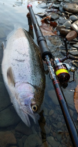 Winter Steelhead Best Steelhead Float Rod Steelhead Float Rod Best