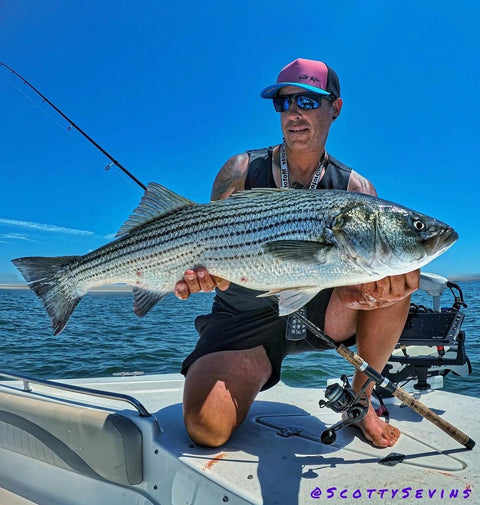 black sambo fishing lure Black Inshore