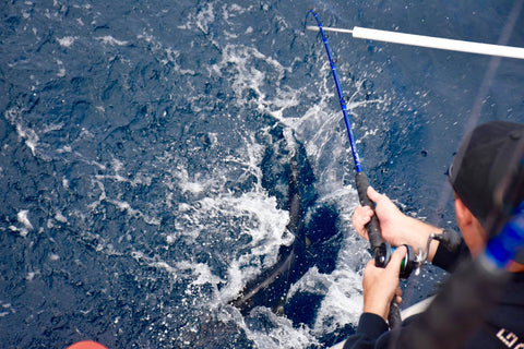 Lamiglas Bluewater Casting Rod BW7030C